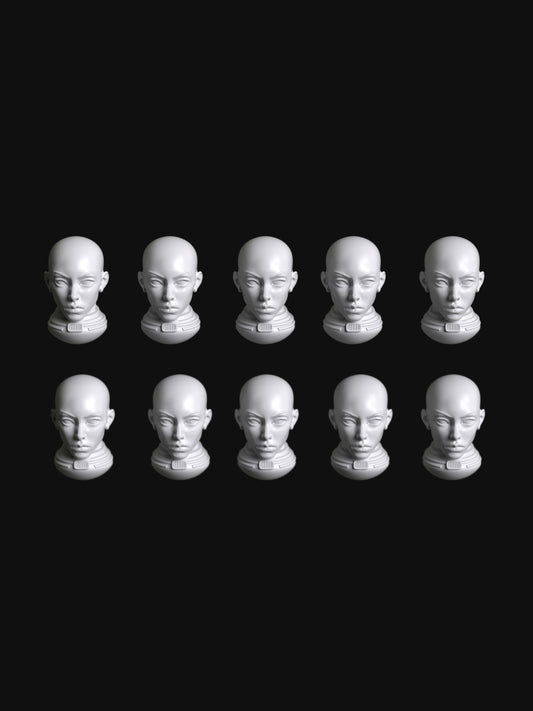 Sedition Series 06e Heads